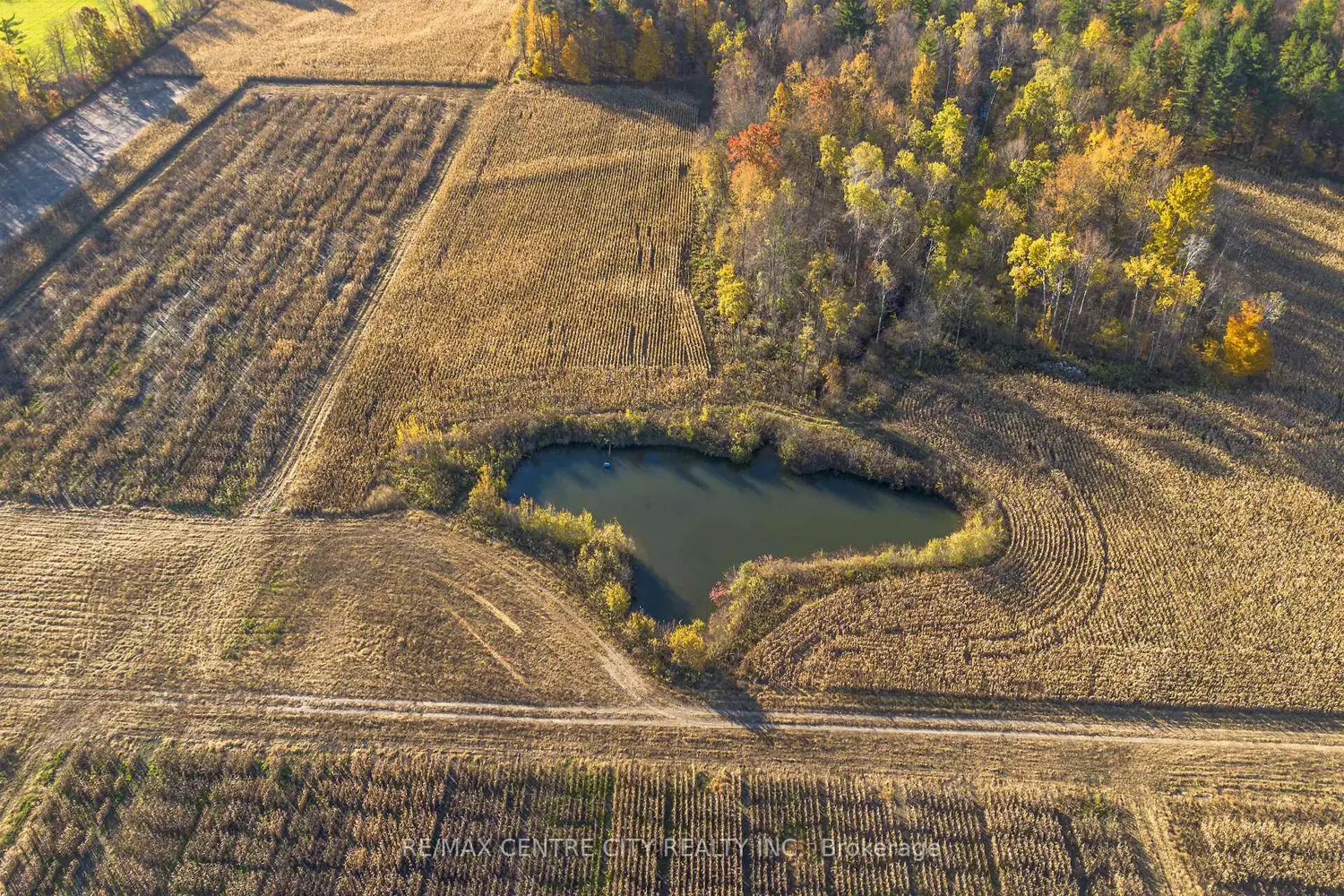 Additional image 8 of 8916 Coyle Road