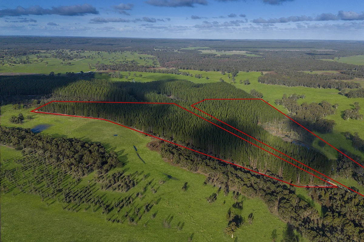 Additional image 6 of 125 Moonlight Road, Killara VIC 3312