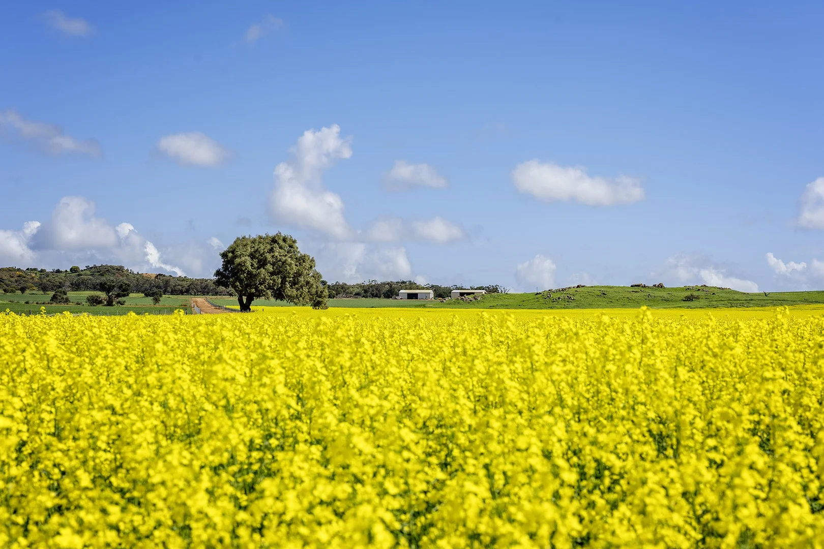 829 Nabawa Northampton Road, Hickety WA 6532