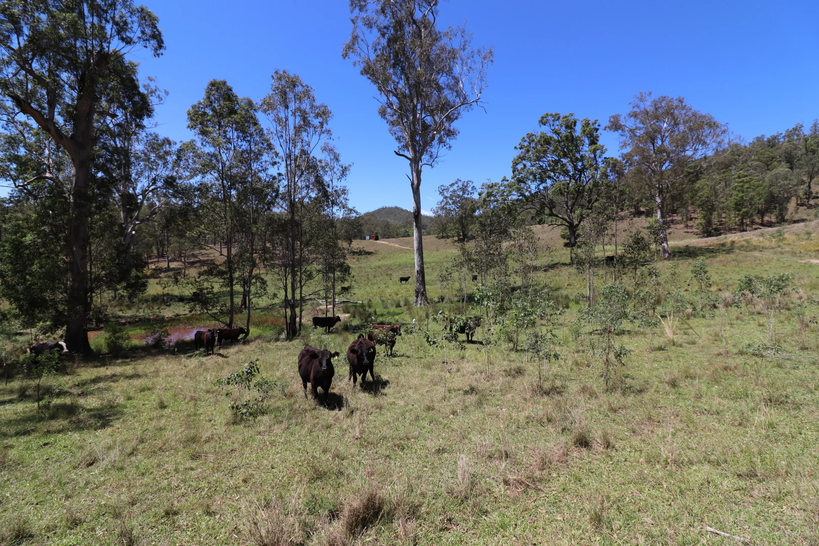 Additional image 15 of 857 Warbro Brook Rd, Toorooka NSW 2440