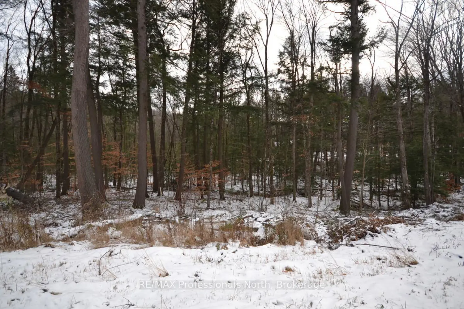 Additional image 3 of 0 Liswood Road