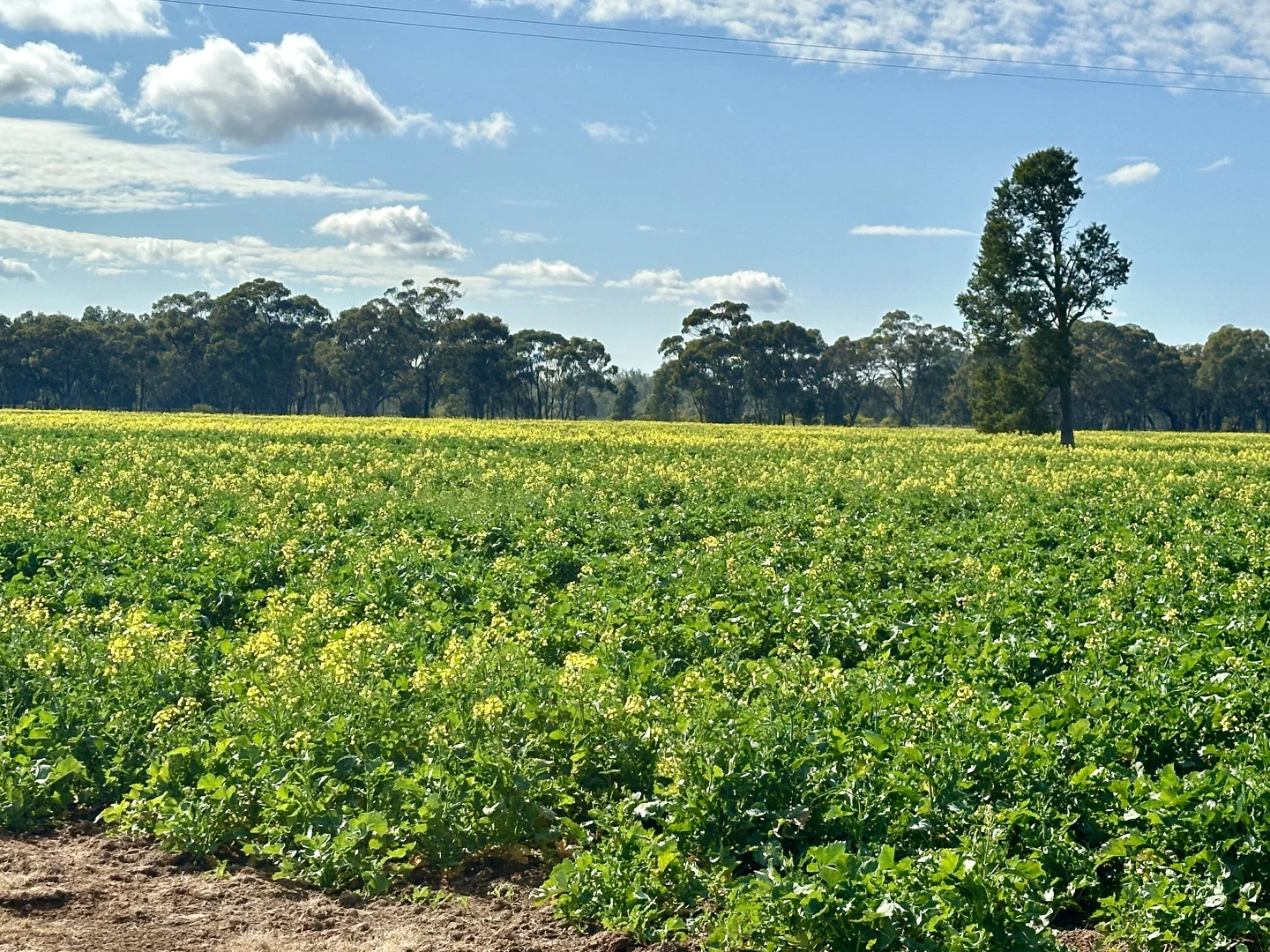 Additional image 12 of 2791 Sturt Highway, Wagga Wagga NSW 2650