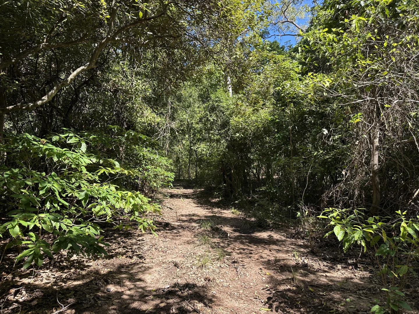 Additional image 6 of 135 Horseshoe Bay Rd, Horseshoe Bay QLD 4819