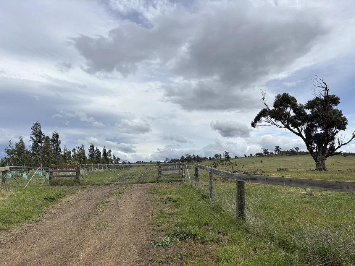 Additional image 9 of Lot 1 Orielton Road, Orielton TAS 7172