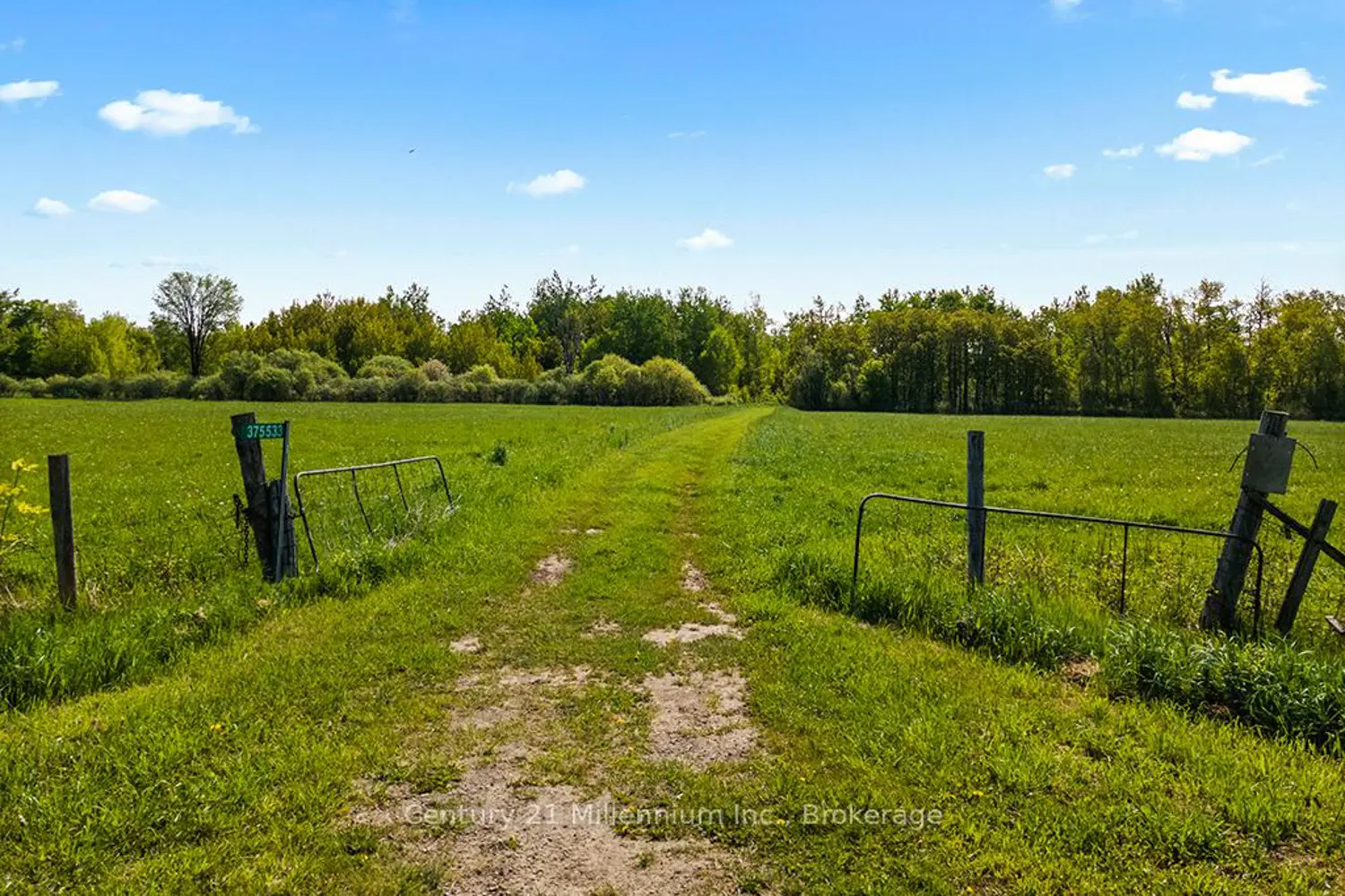 Additional image 4 of 375533 6Th Line