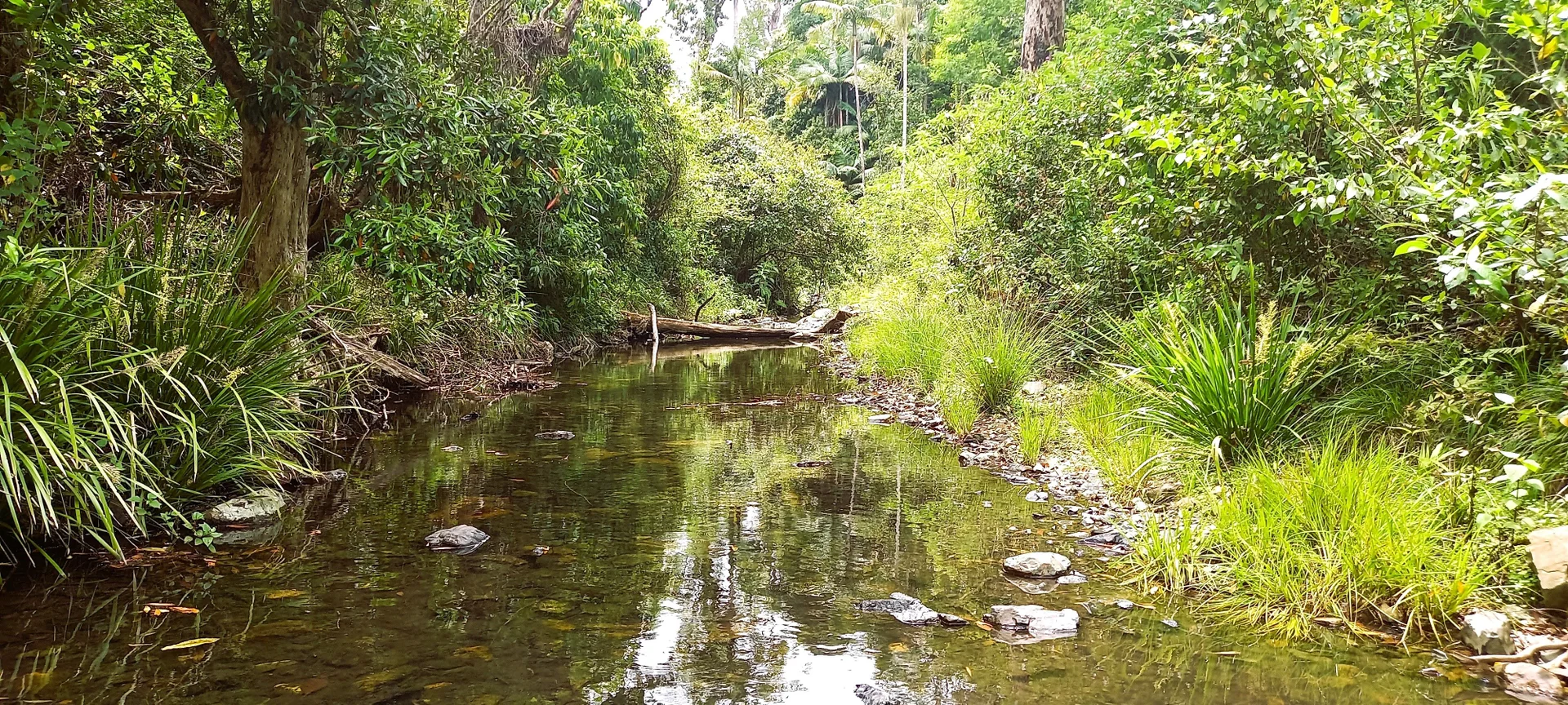 Additional image 27 of Bellangry NSW 2446