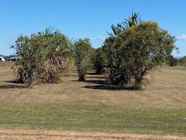 Additional image 4 of Lot 66 Lethebrook Road, Lethebrook QLD 4800