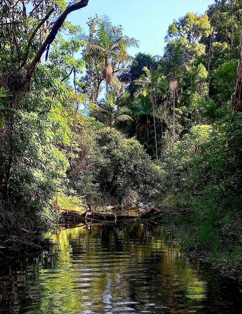 Additional image 28 of Bellangry NSW 2446