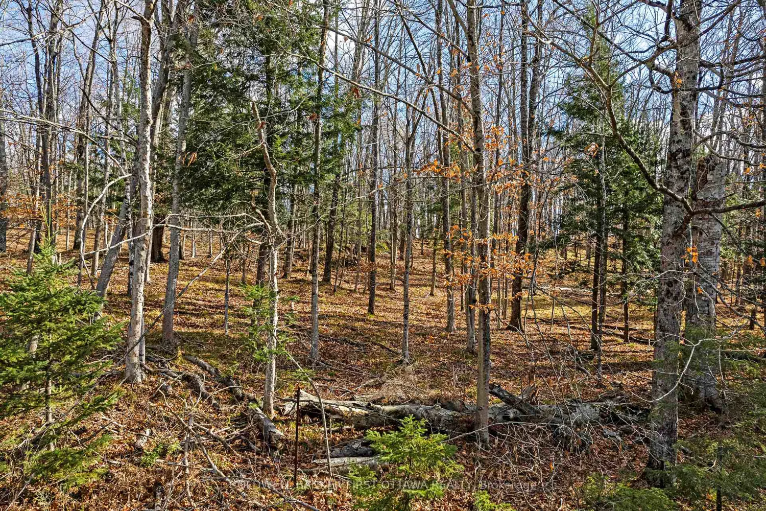 Additional image 3 of Pt 3-00 Herron Mills Road