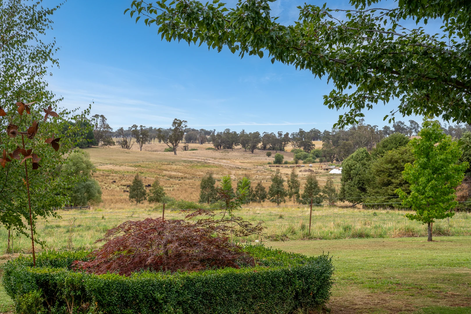 Additional image 7 of 'Top Farm' 1004 Neville-Trunkey Road, Neville NSW 2799