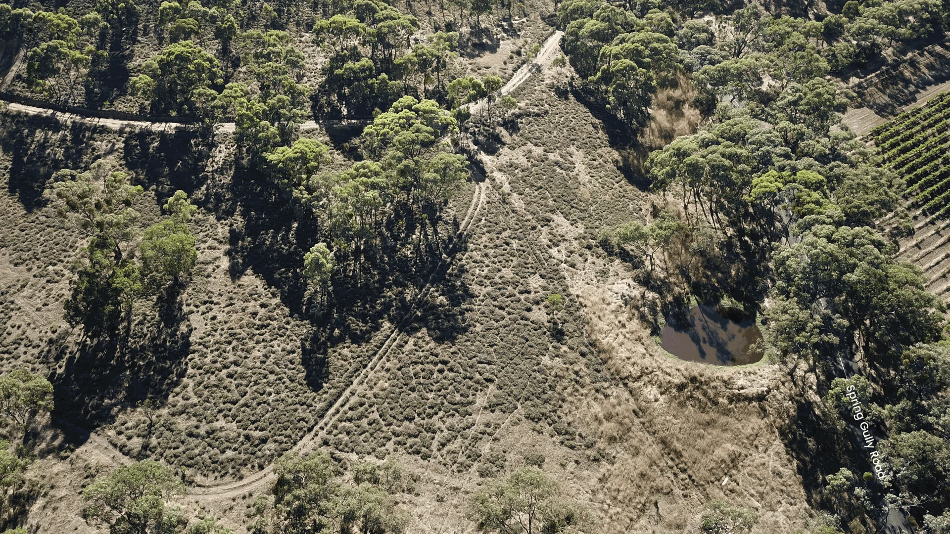 Lot 26 Spring Gully Road, Emu Flat SA 5453 photo 5