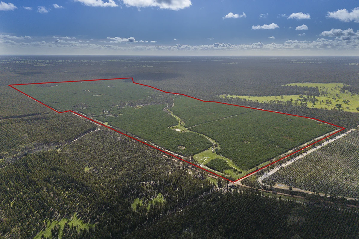 Additional image 3 of 125 Moonlight Road, Killara VIC 3312