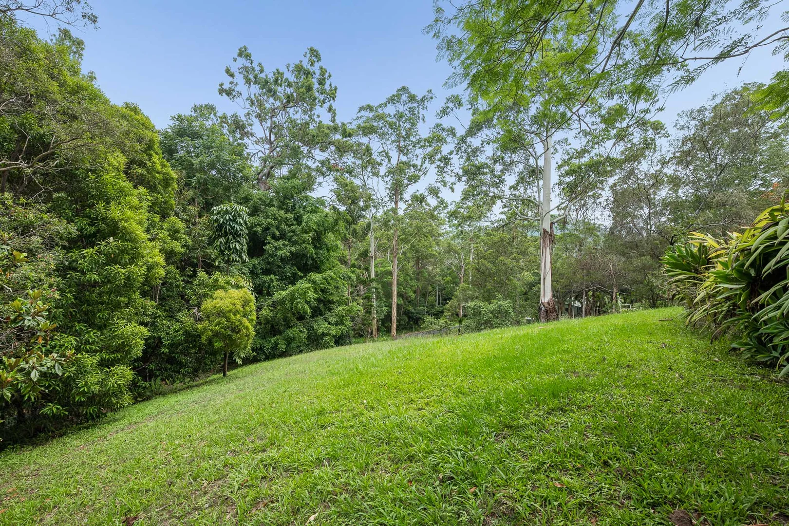 Additional image 28 of 901 Cedar Creek Road, Cedar Creek QLD 4520