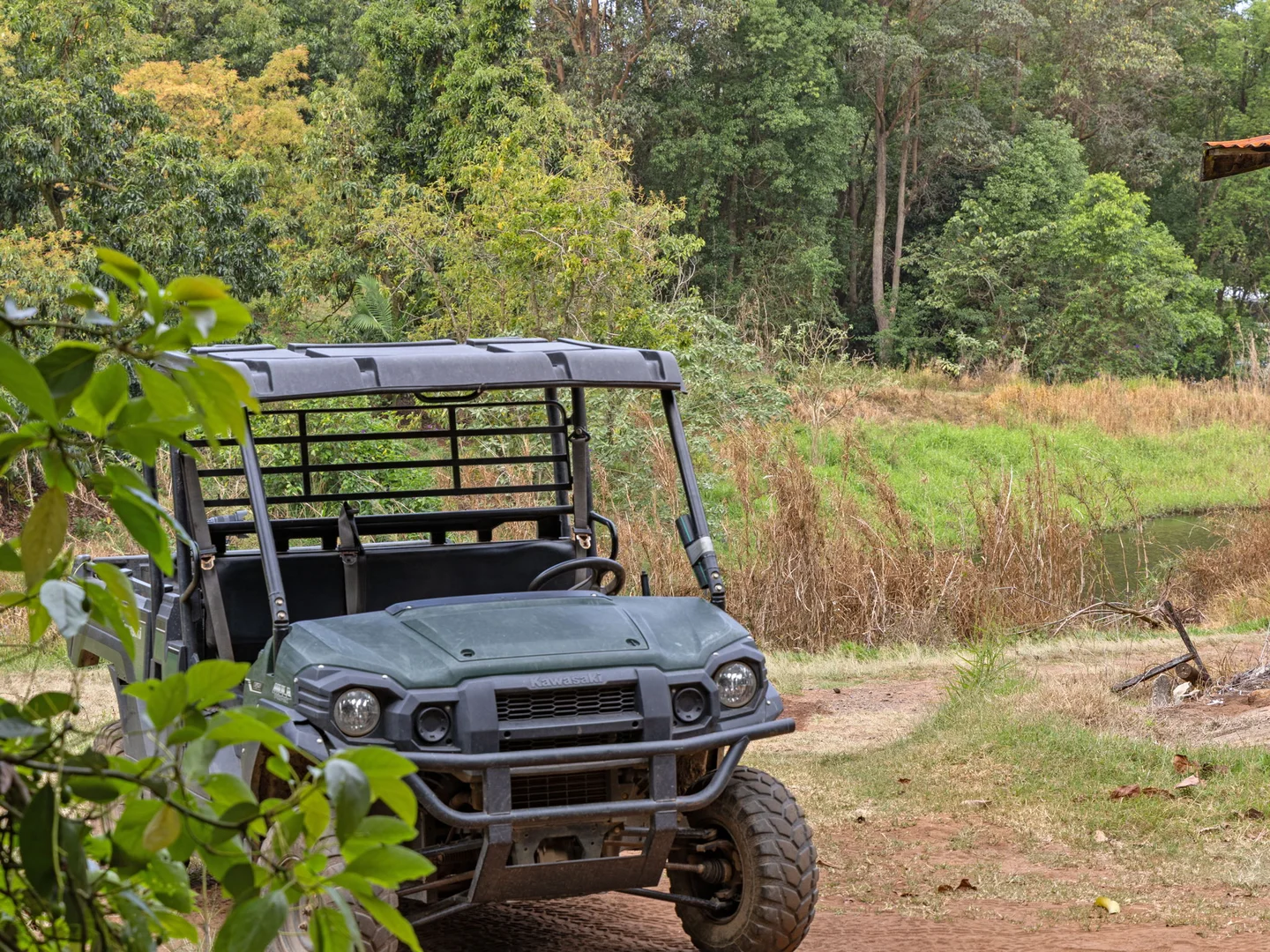 Additional image 19 of 43 Pringle Road, Rosemount QLD 4560