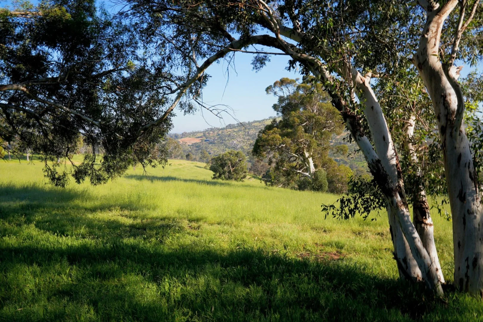 Additional image 12 of 839 Campersic Road, Brigadoon WA 6069