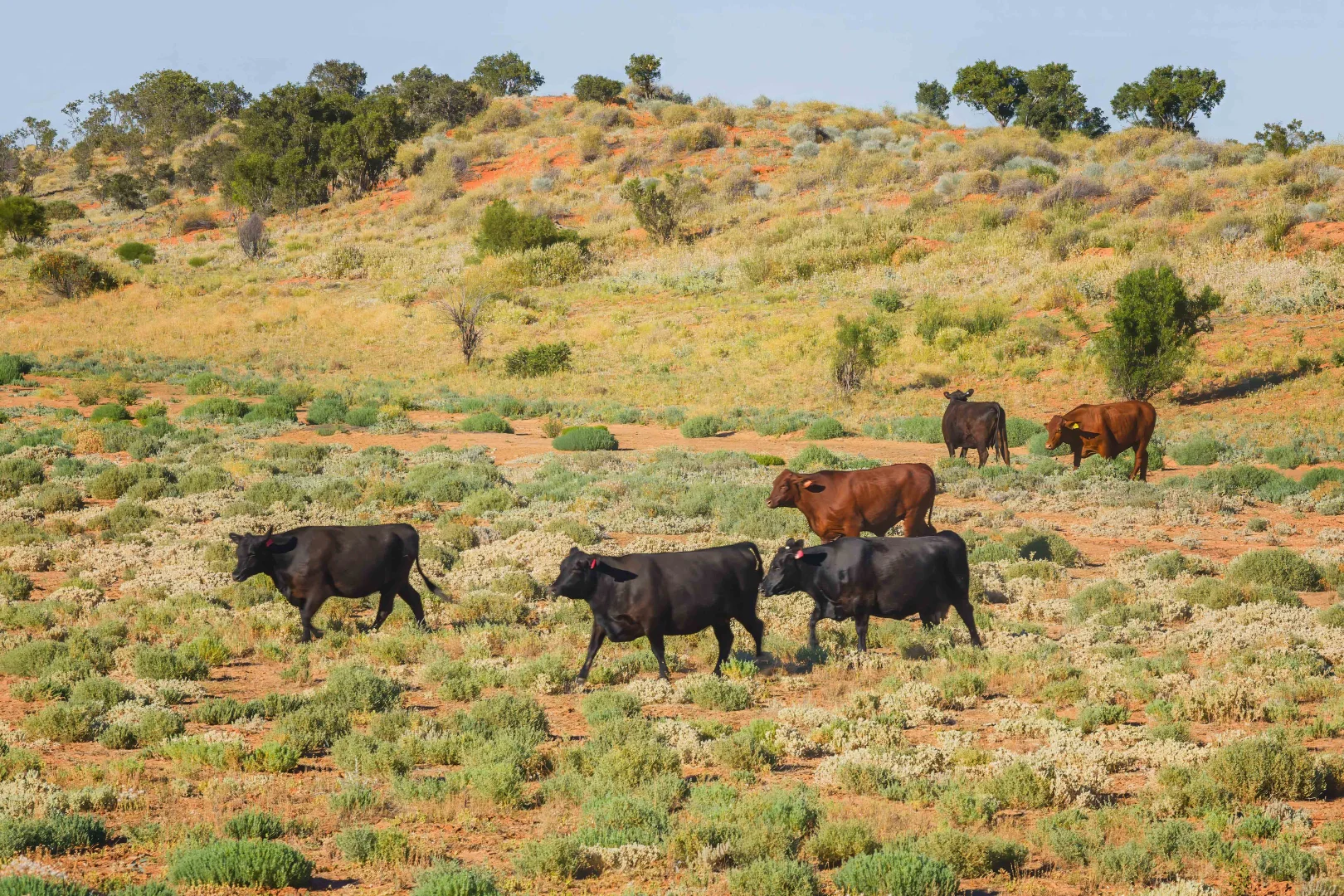 Additional image 19 of Durham QLD 4492