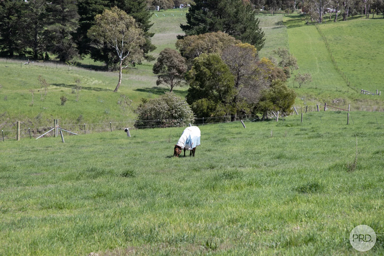 Additional image 10 of 25 Consols Court, Clunes VIC 3370