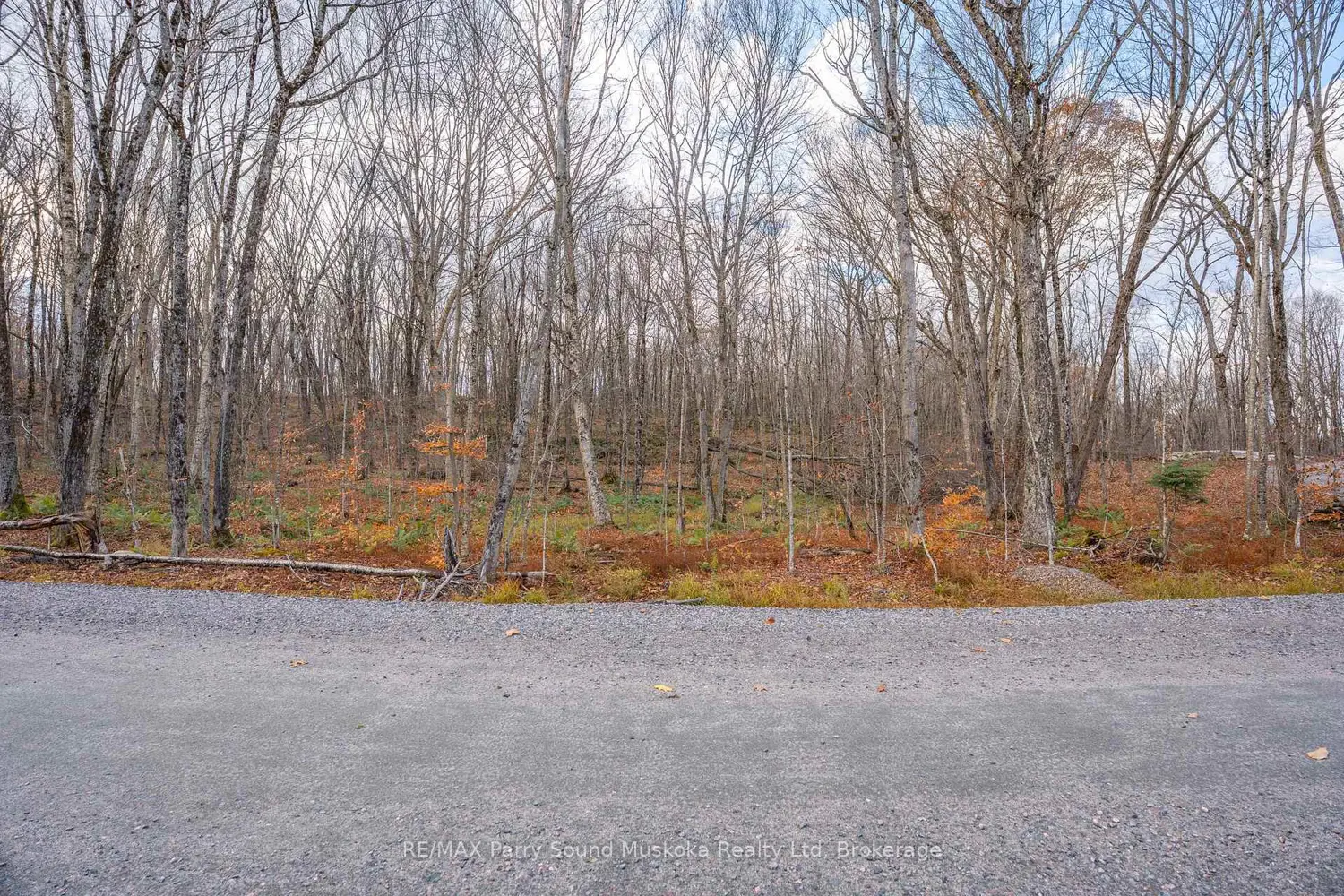 Additional image 12 of Part 7 Standing People Road