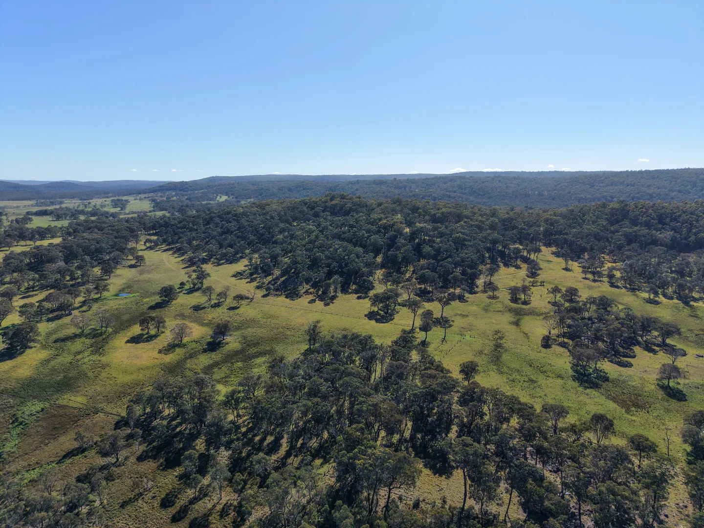 Additional image 33 of 2153 Mount Lindesay Road, Tenterfield NSW 2372