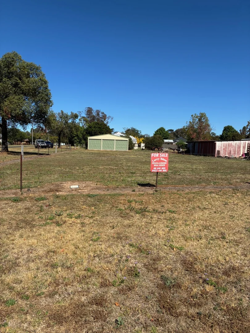 Additional image 5 of 25 RAILWAY STREET, Binnaway NSW 2395