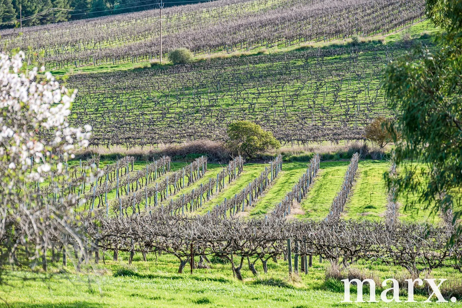 Additional image 28 of 137 Radford Road, Angaston SA 5353