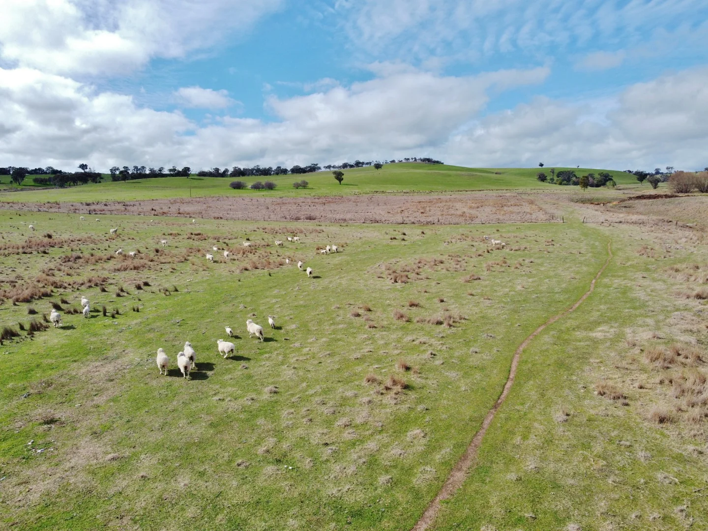 Additional image 7 of 127 Calabash Road, Murringo, via, Young NSW 2594