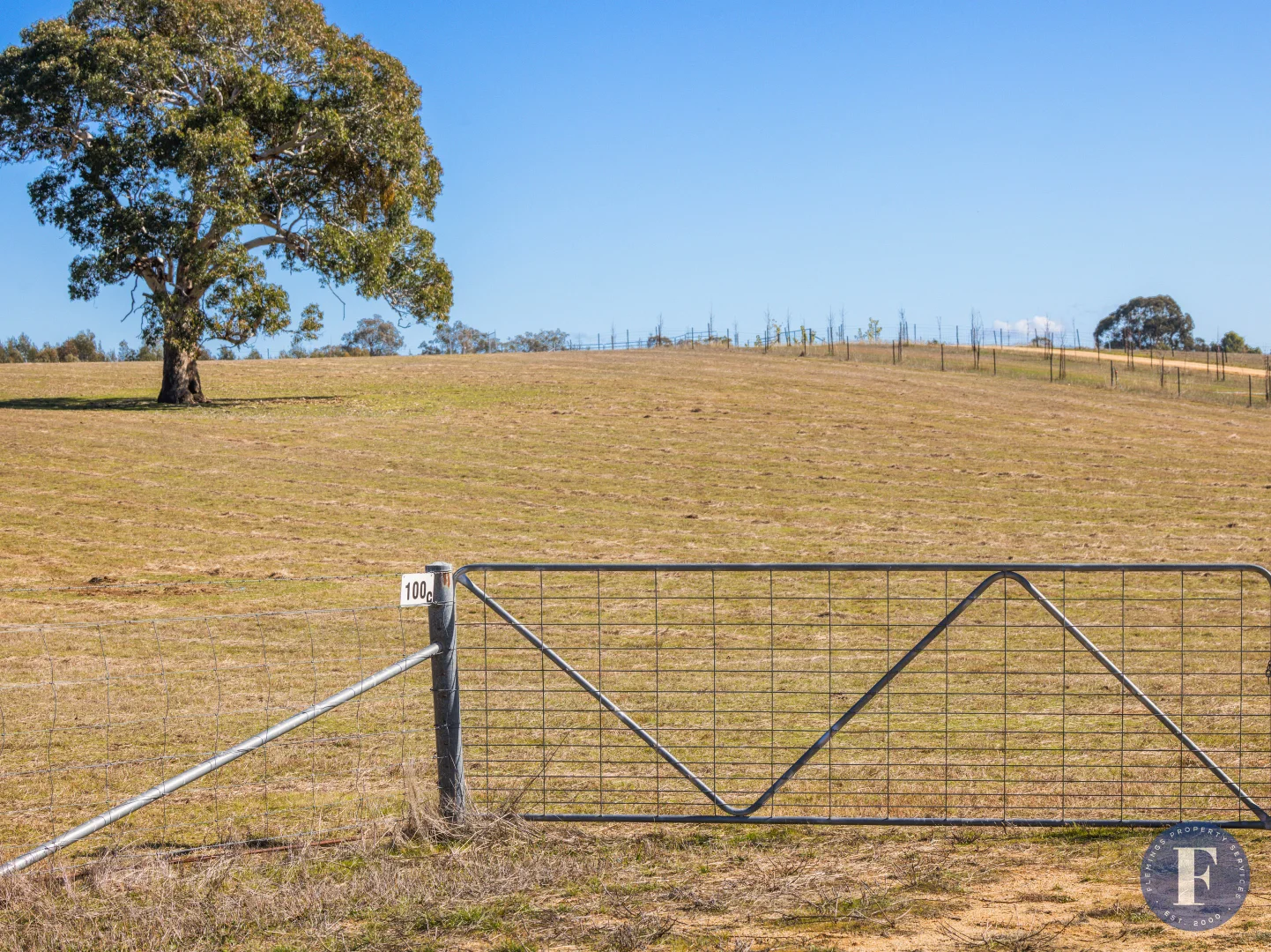 Additional image 10 of 100C Boundary Road, Young NSW 2594