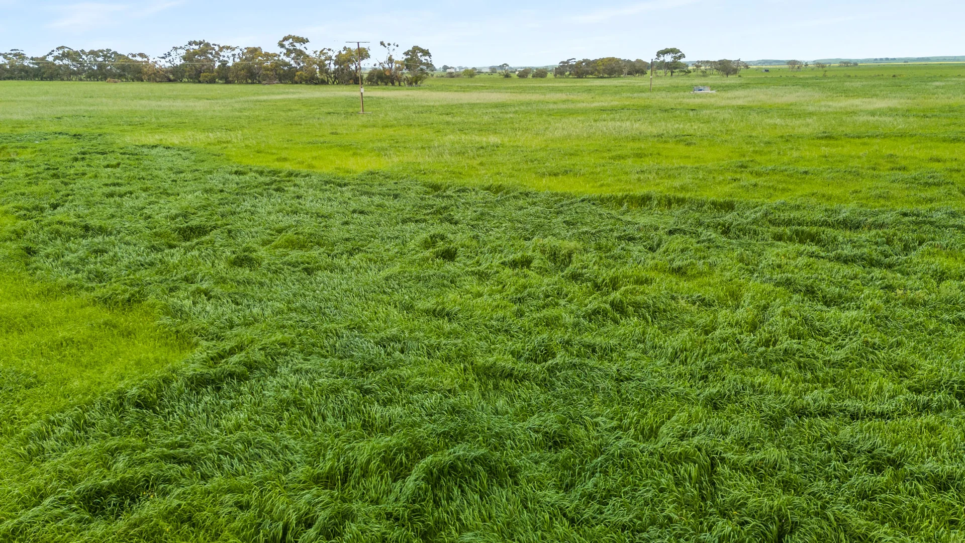 Additional image 32 of 771 Belt Road, Millicent SA 5280