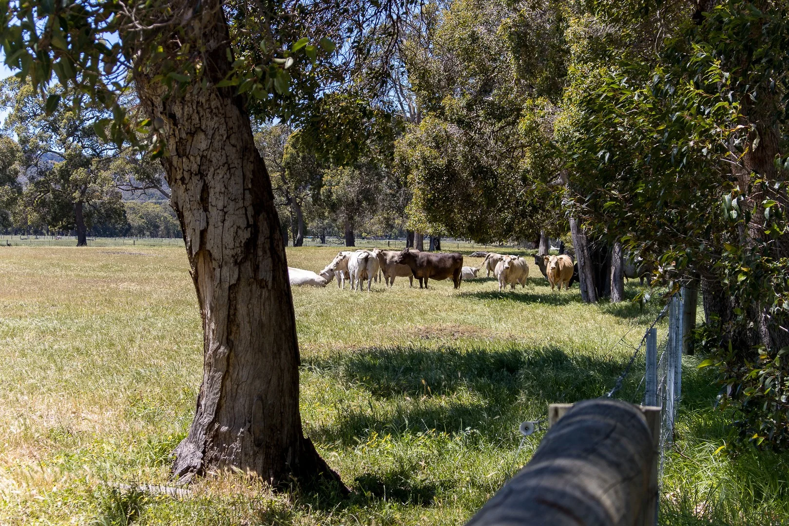 Additional image 33 of 156 Feast Road, Mardella WA 6125