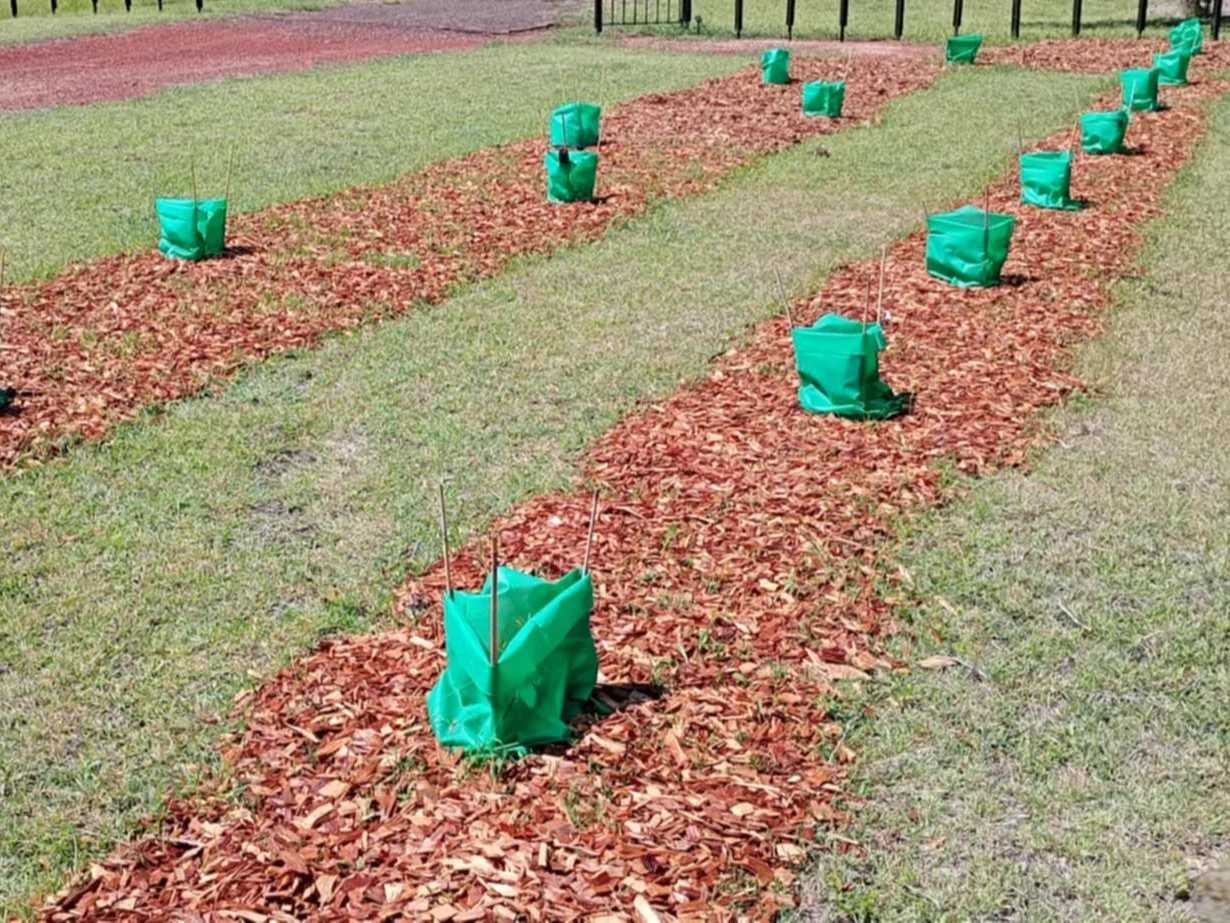 Additional image 8 of Hivesville QLD 4612