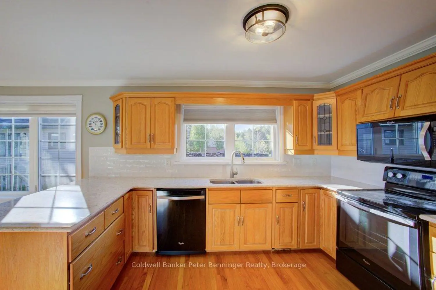 79 George Street photo 2