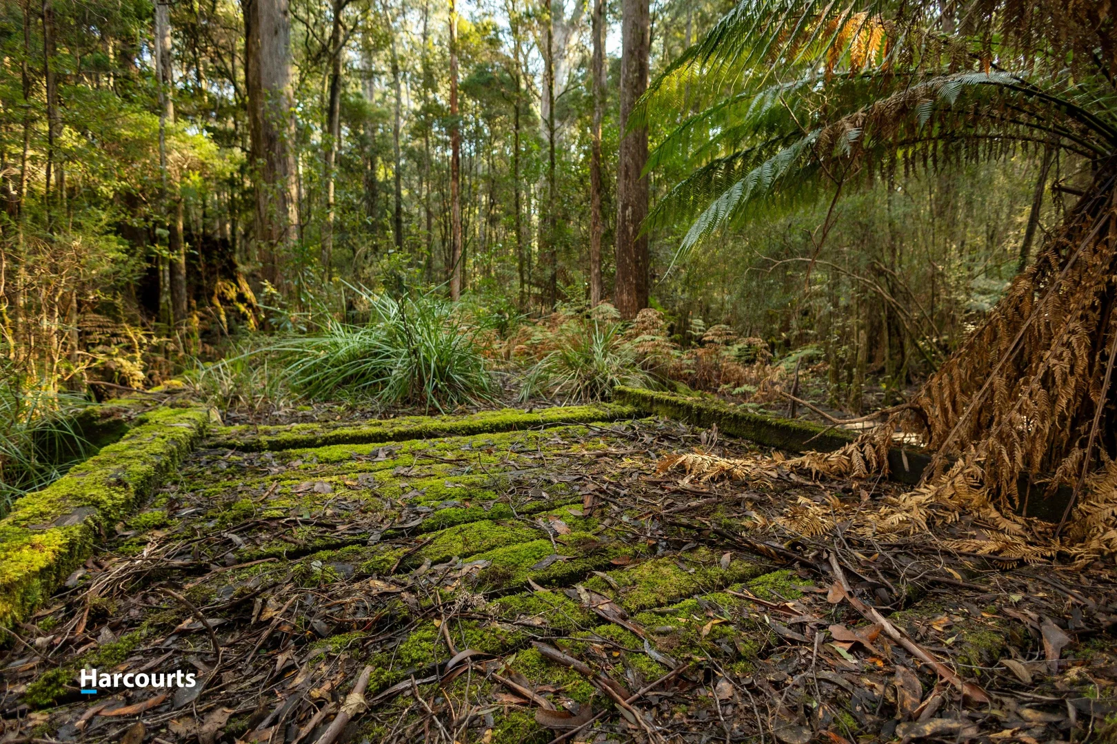 Additional image 6 of 170 Cockle Creek Road, Recherche TAS 7109