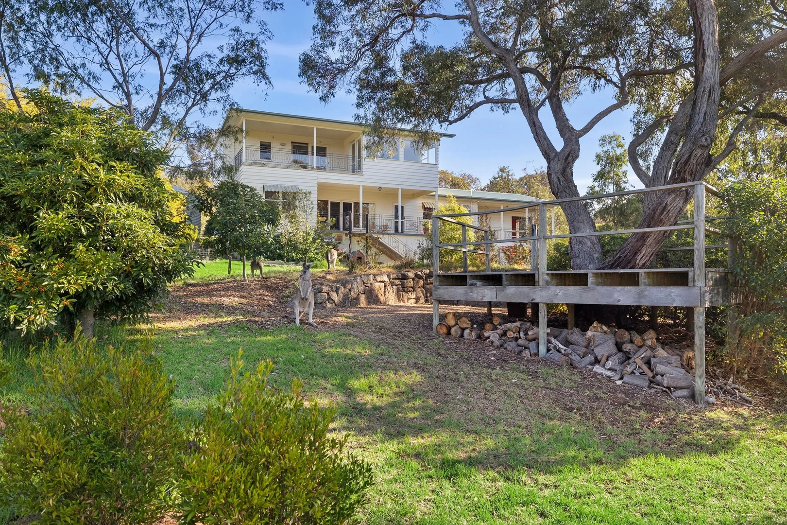 Additional image 10 of 24-26 Jackson Street, Anglesea VIC 3230