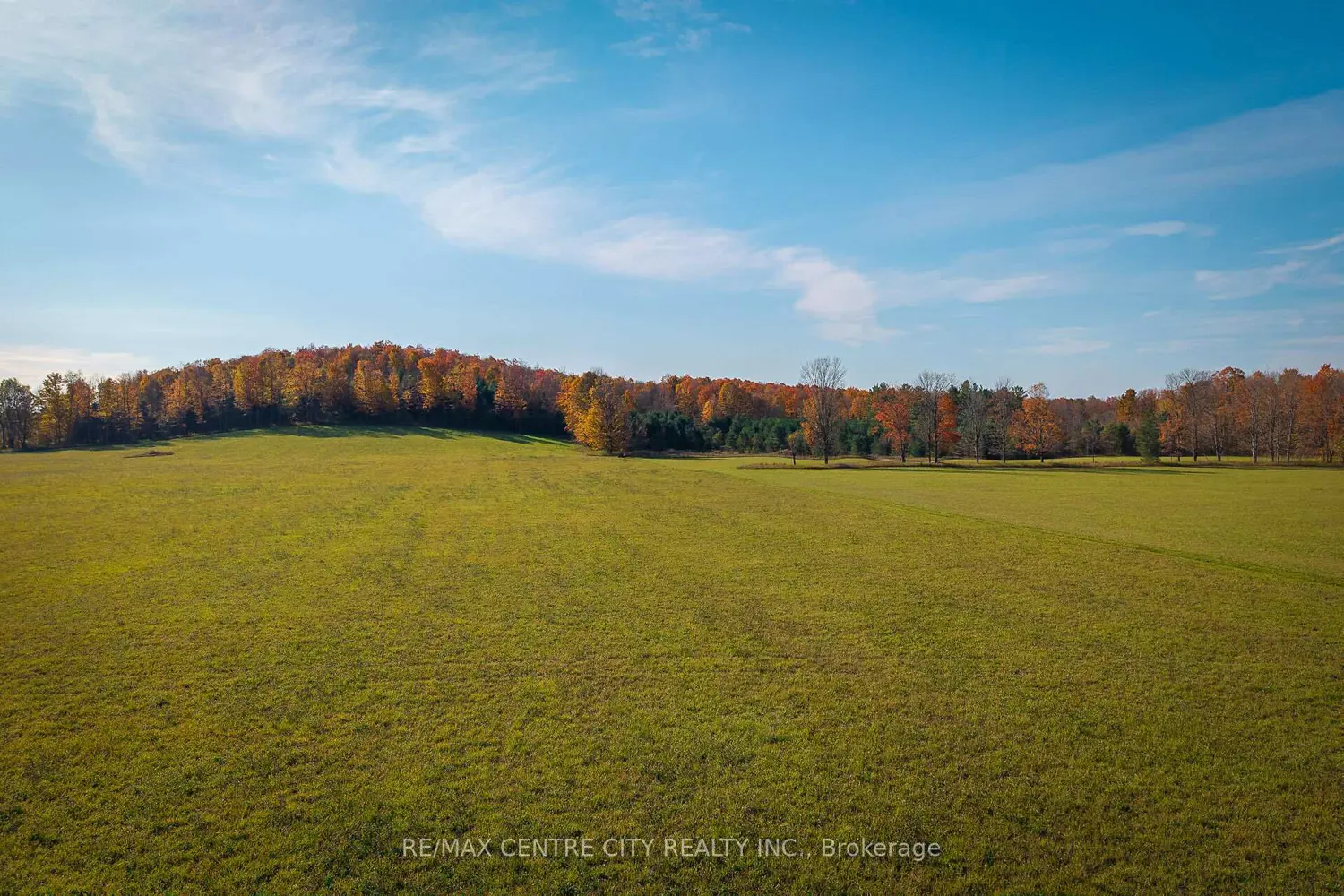 Additional image 7 of 442146 Concession Road 8