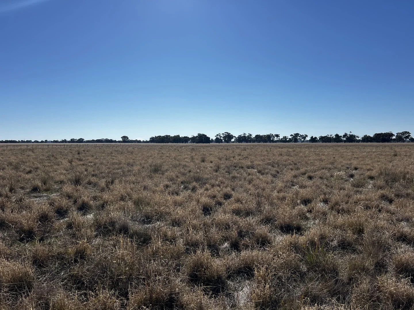 Additional image 2 of CA 8 Murray Valley Highway, Torrumbarry VIC 3562