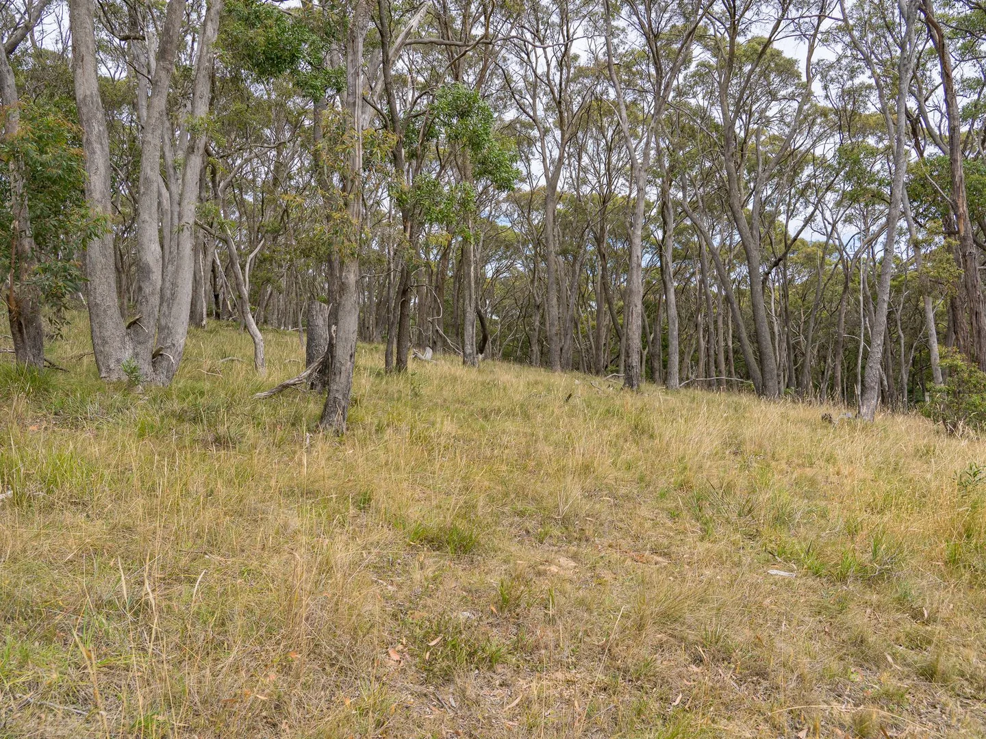 Additional image 5 of 50 Trounces Lane, Mount Egerton VIC 3352