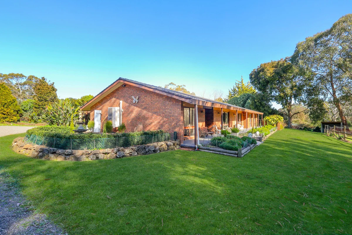 Additional image 11 of 169 Timboon - Curdievale Road, Timboon VIC 3268