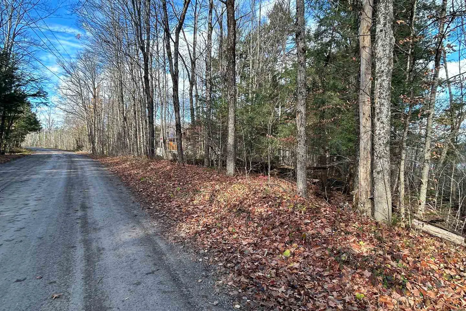 Additional image 17 of 0 Mill Lake Road