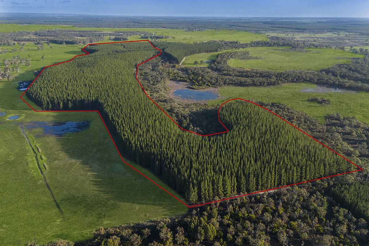 Additional image 12 of 125 Moonlight Road, Killara VIC 3312