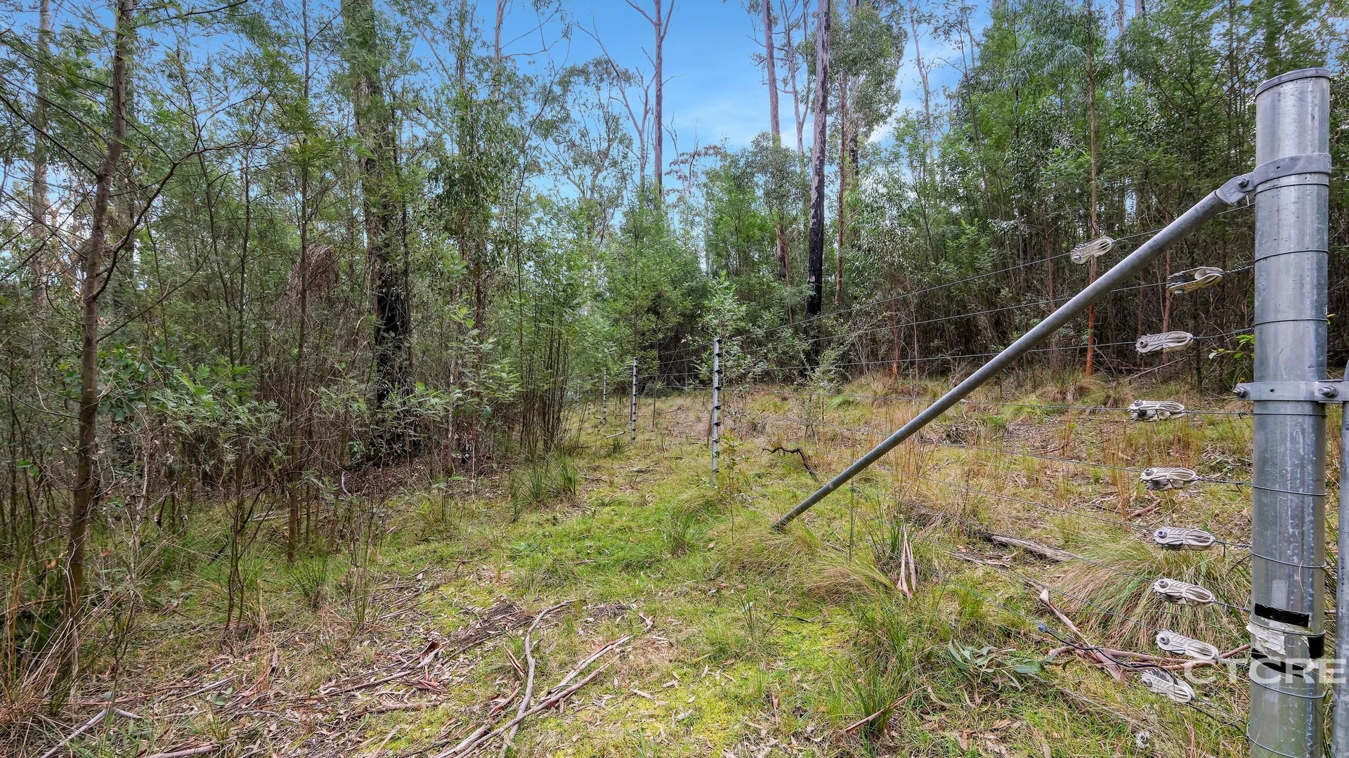 Additional image 22 of 1664 Wangarabell Road, Wangarabell VIC 3891