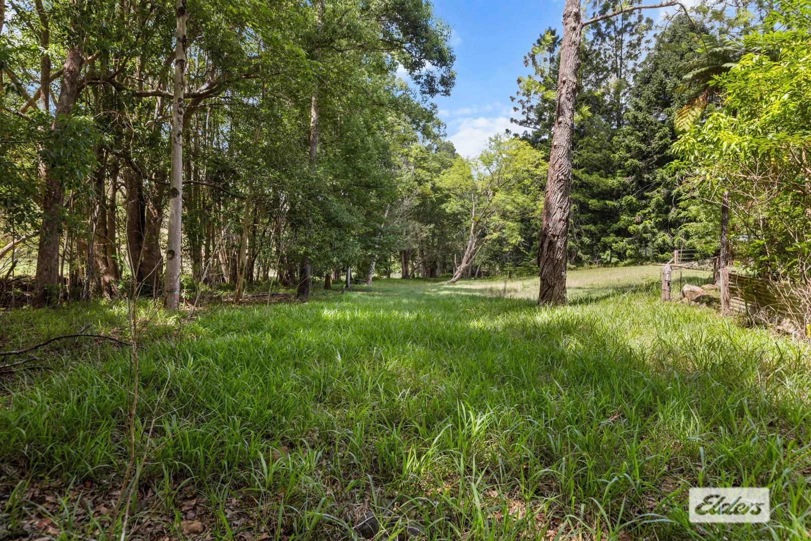 Additional image 24 of 1984 Numinbah Road, Numinbah NSW 2484