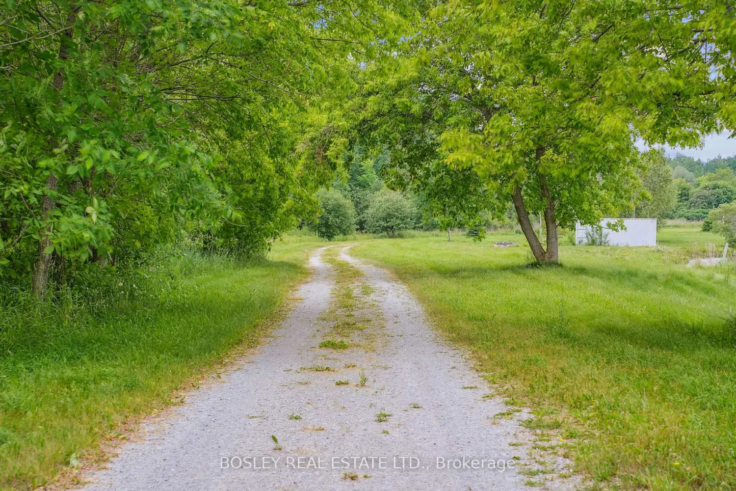 Additional image 16 of 18156 Dufferin Street