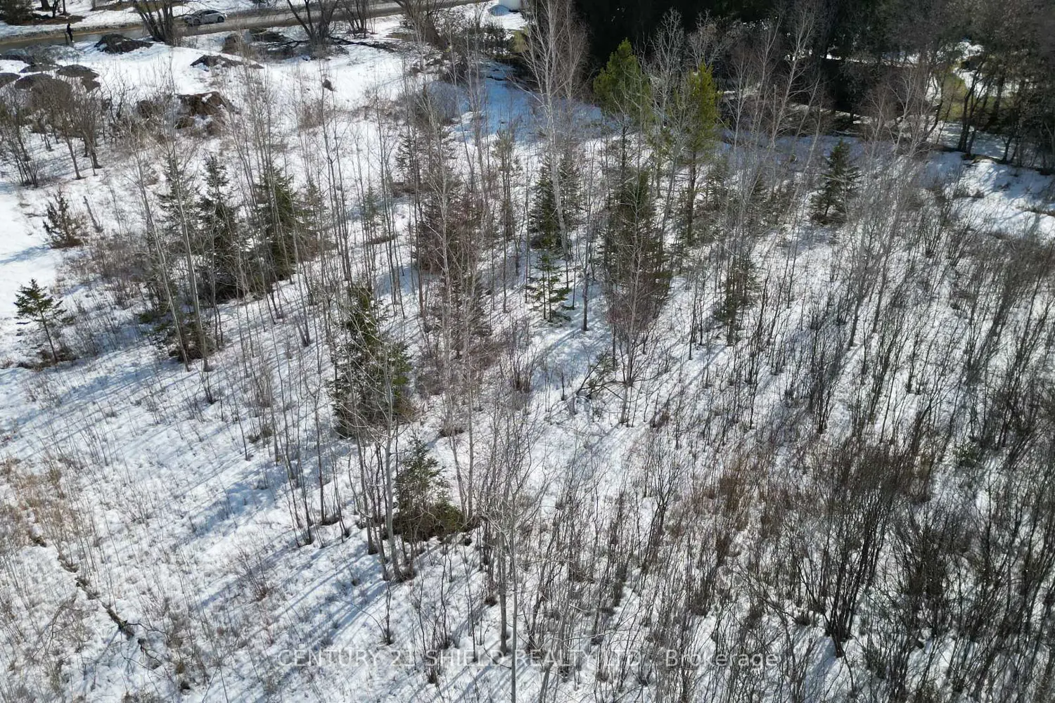 Additional image 5 of 21963 Sauve Street