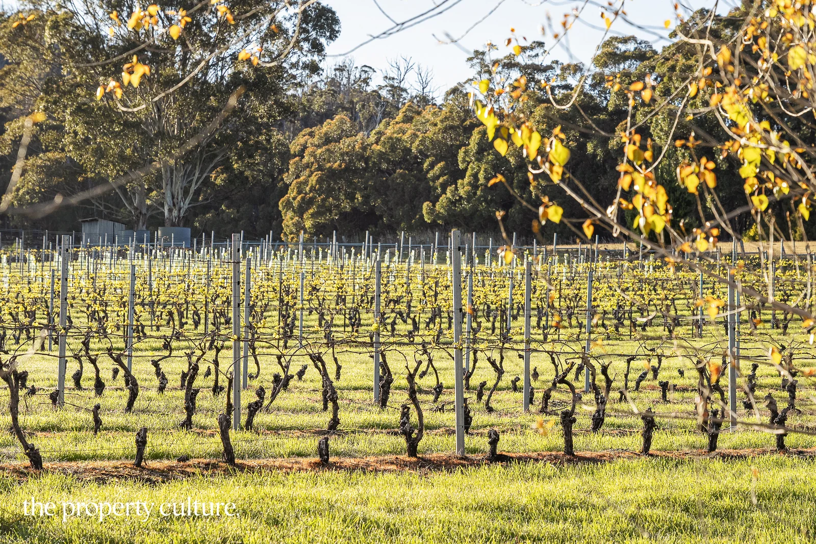 Additional image 23 of 42 Voss Rd, Glaziers Bay TAS 7109