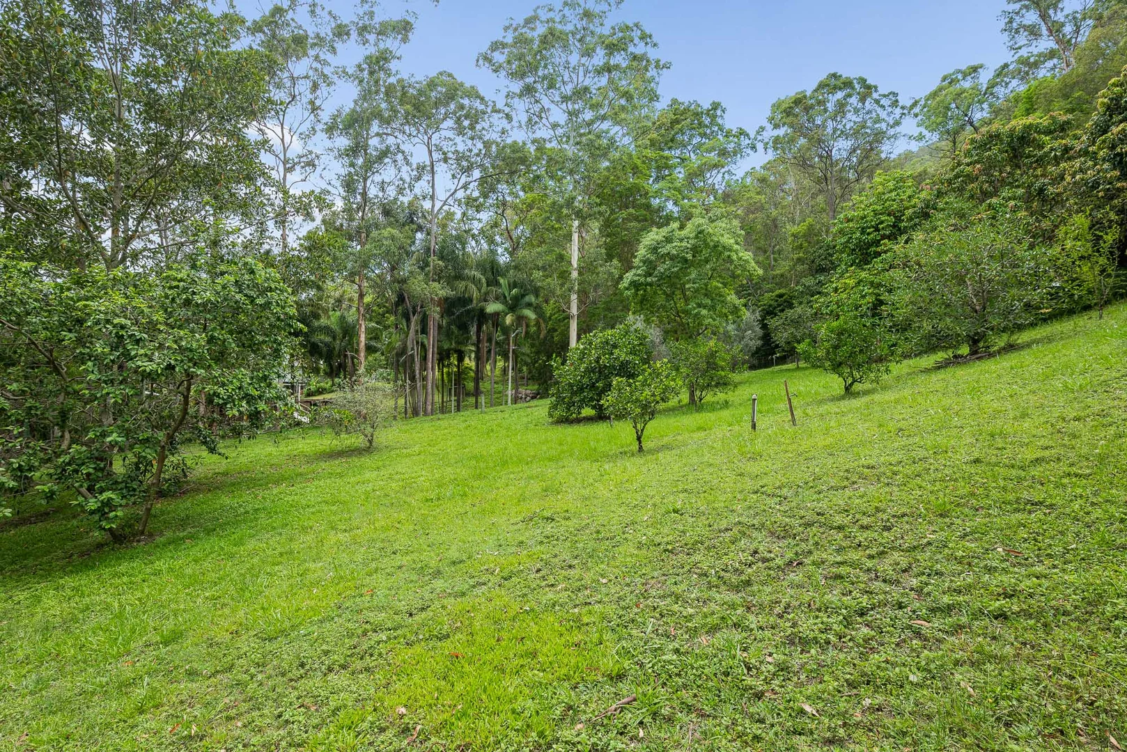 Additional image 25 of 901 Cedar Creek Road, Cedar Creek QLD 4520