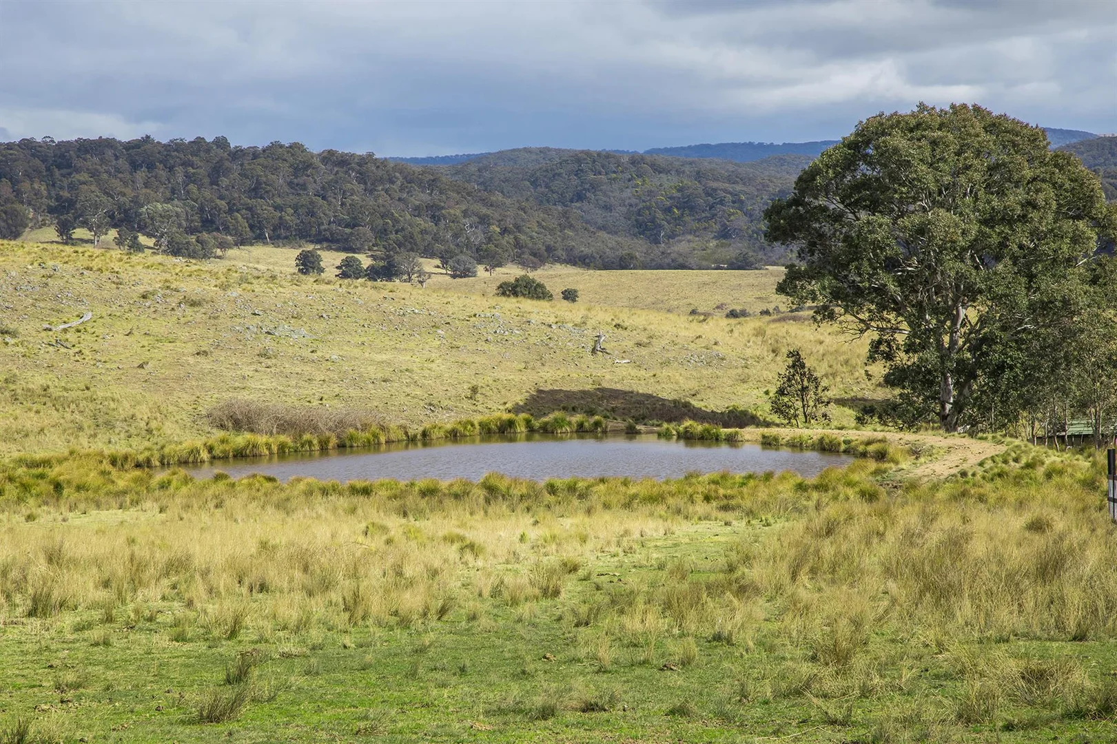 Additional image 21 of 144 Longview Road, Big Hill NSW 2579