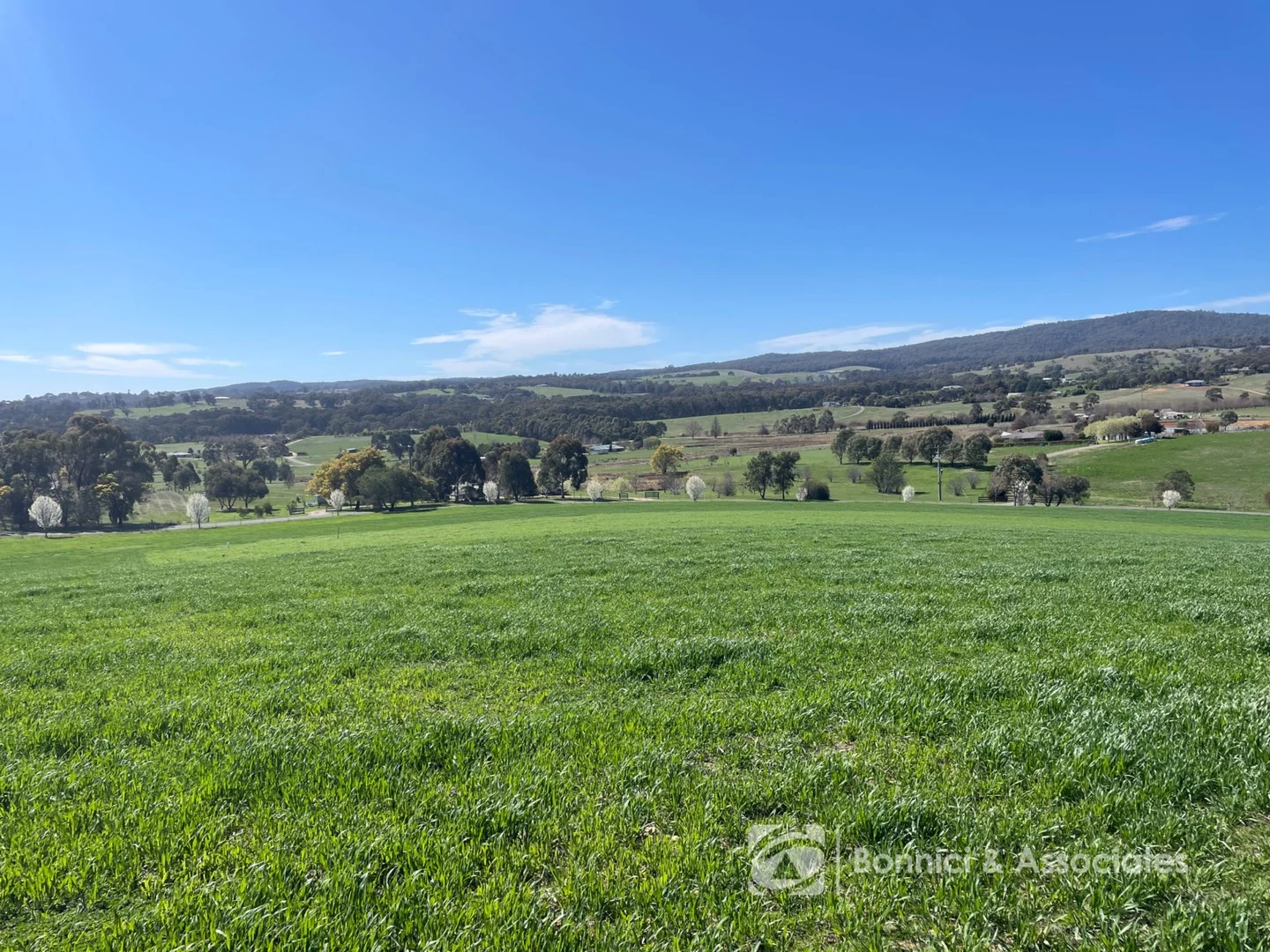 33 Lawrie Road, Beechworth VIC 3747