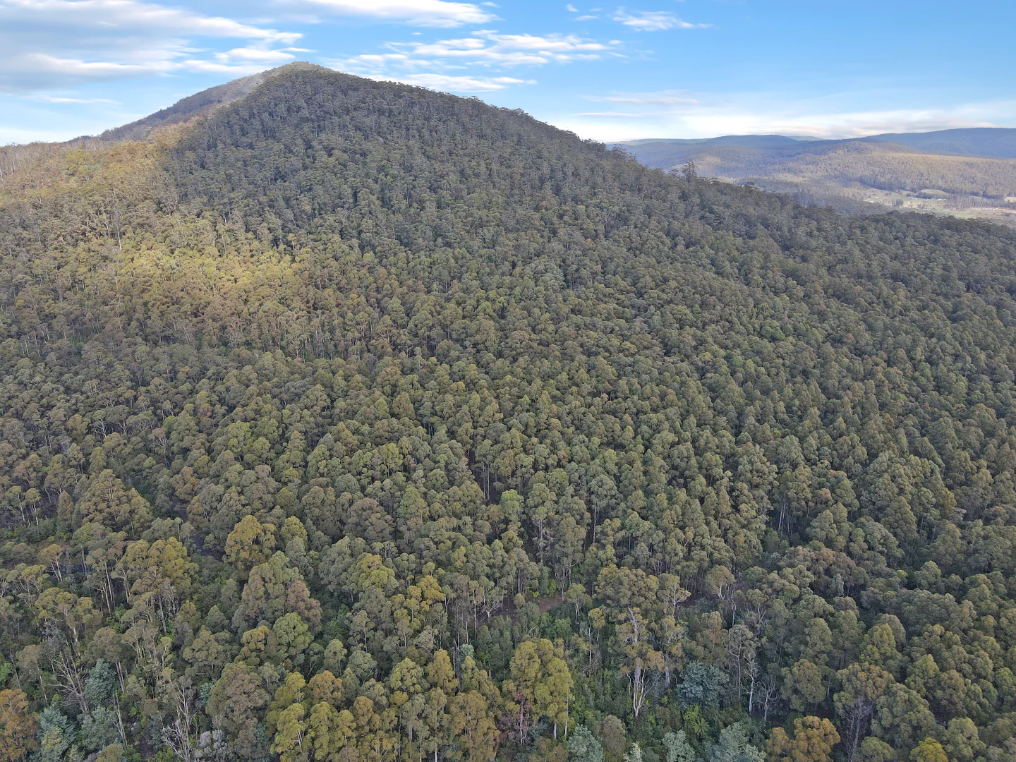 Additional image 9 of PID 6408103 Irish Town Road, St Marys TAS 7215