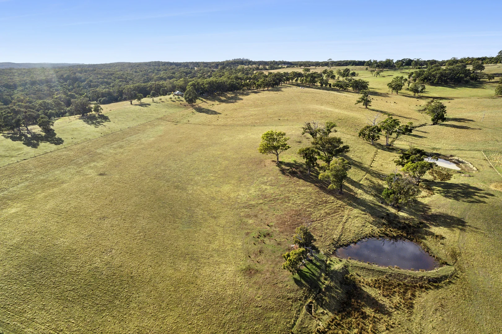 Additional image 10 of 1/104 Holcombe Road, Glenlyon VIC 3461