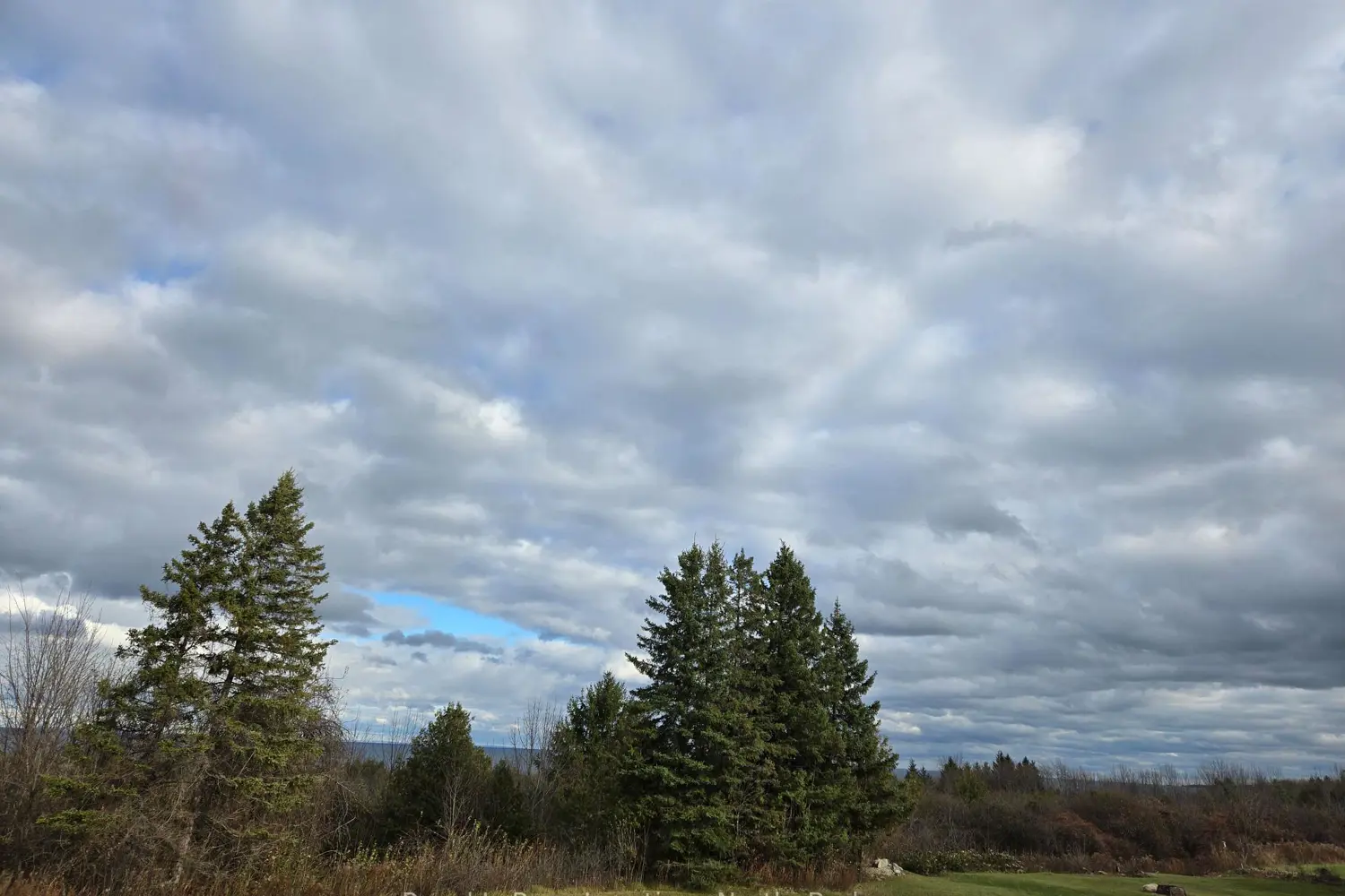 Additional image 2 of 133 Scotia Drive